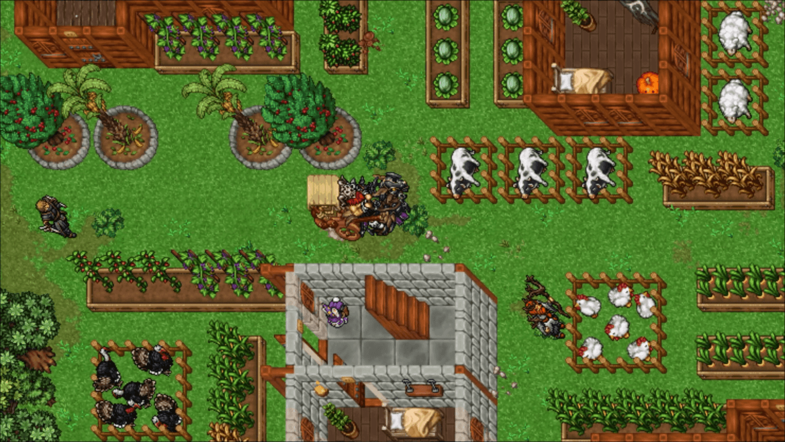 RavenQuest, MMORPG rétro et blockchain RavenQuest